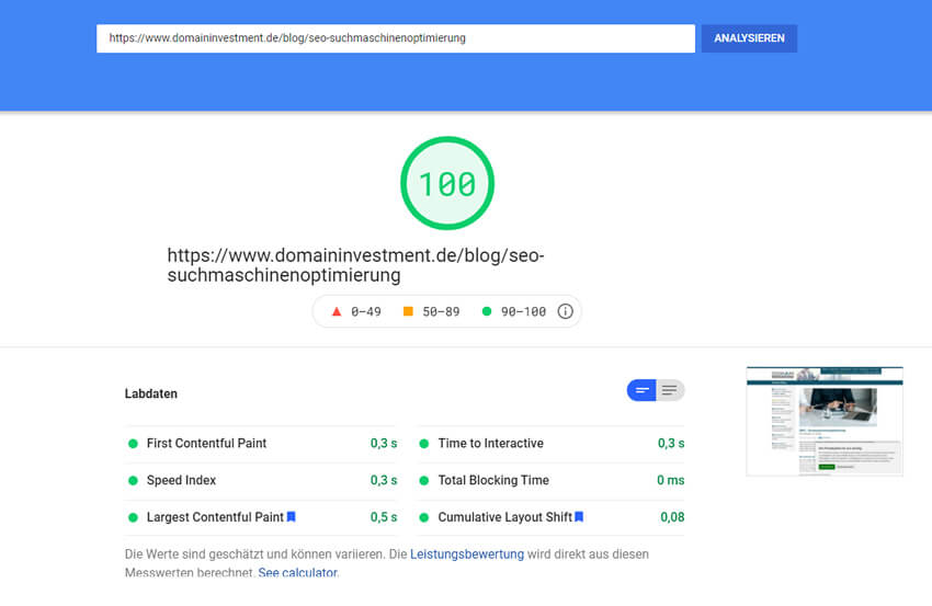 Screenshot Google PageSpeed Insights